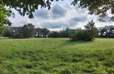 Manor house for sale Pakosław, Greater Poland, Image 13/15