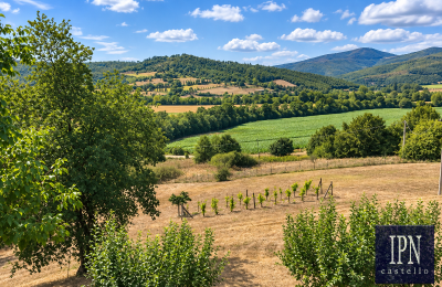 Historic tower for sale 06019 Umbertide, Umbria, Image 20/40