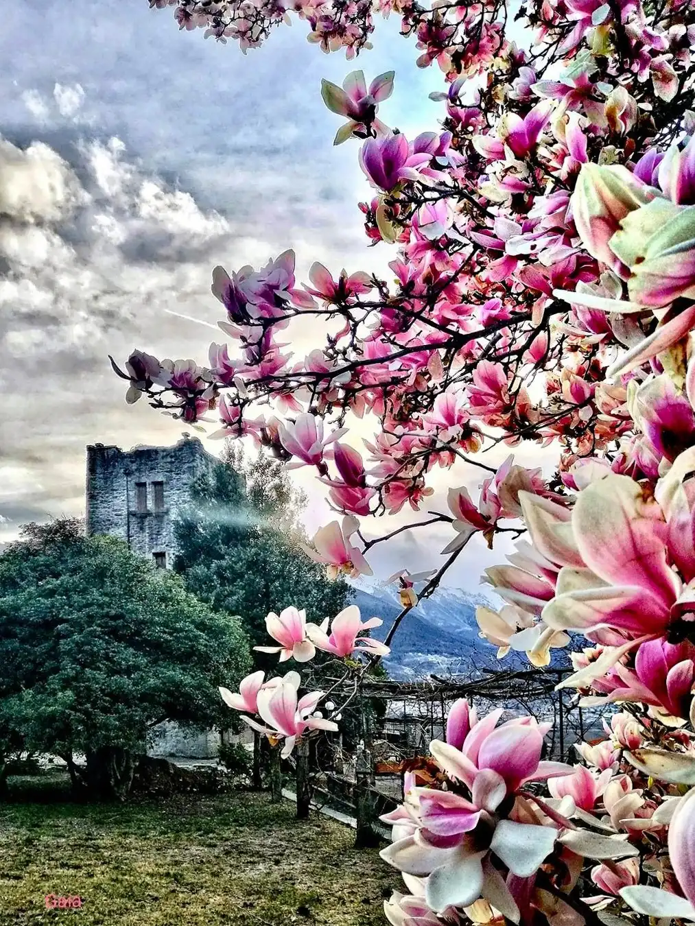 Photos Medieval tower property with Alpine views in Domodossola