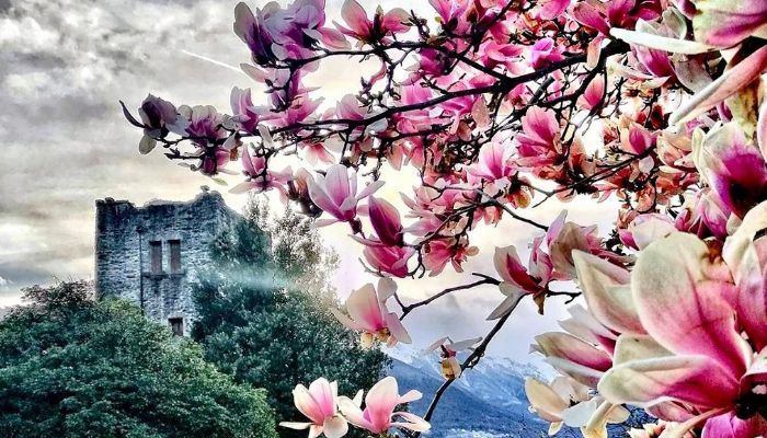 Medieval castle for sale Trontano, Piedmont
