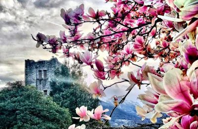 Medieval castle for sale Trontano, Piedmont, Torre