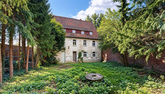 Historic property for sale 06686 Lützen, Saxony-Anhalt
