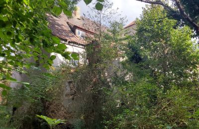 Historic property for sale 06686 Lützen, Leipziger Straße 13, Saxony-Anhalt, Historische-Wassermuhle-von-Franz-Stockchen-direkt-am-Rippach (9)