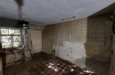 Historic property for sale 06686 Lützen, Leipziger Straße 13, Saxony-Anhalt, Historische-Wassermuhle-von-Franz-Stockchen-direkt-am-Rippach (31)