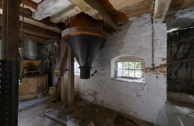 Historic property for sale 06686 Lützen, Leipziger Straße 13, Saxony-Anhalt, Historische-Wassermuhle-von-Franz-Stockchen-direkt-am-Rippach (26)