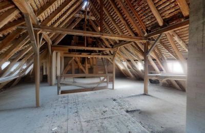Historic property for sale 06686 Lützen, Leipziger Straße 13, Saxony-Anhalt, Historische-Wassermuhle-von-Franz-Stockchen-direkt-am-Rippach (42)