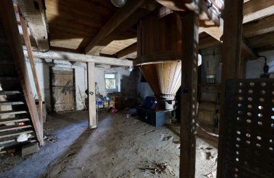 Historic property for sale 06686 Lützen, Leipziger Straße 13, Saxony-Anhalt, Historische-Wassermuhle-von-Franz-Stockchen-direkt-am-Rippach (27)