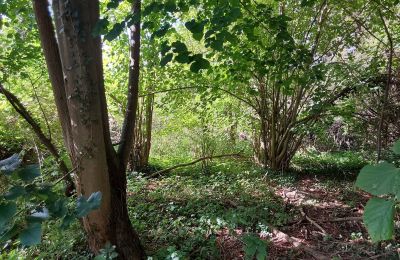 Historic property for sale 06686 Lützen, Leipziger Straße 13, Saxony-Anhalt, Historische-Wassermuhle-von-Franz-Stockchen-direkt-am-Rippach (5)
