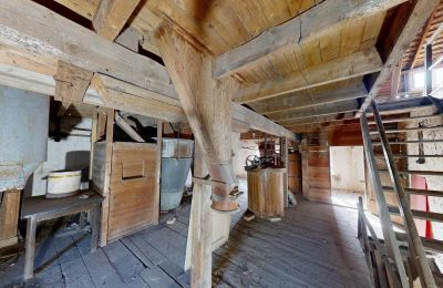 Historic property for sale 06686 Lützen, Leipziger Straße 13, Saxony-Anhalt, Historische-Wassermuhle-von-Franz-Stockchen-direkt-am-Rippach (35)