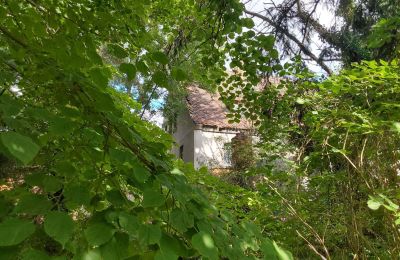 Historic property for sale 06686 Lützen, Leipziger Straße 13, Saxony-Anhalt, Historische-Wassermuhle-von-Franz-Stockchen-direkt-am-Rippach (8)