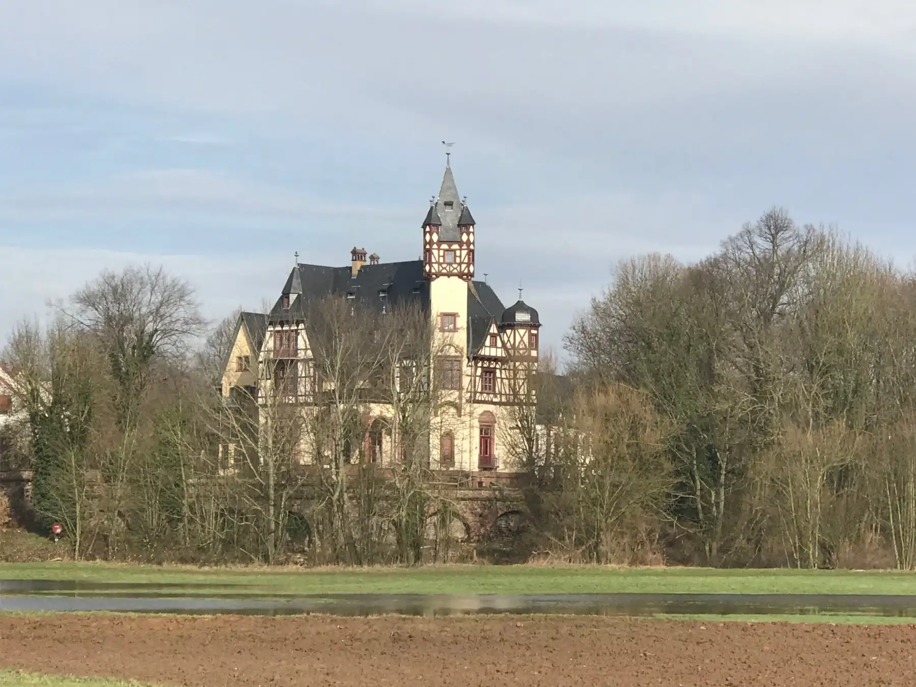 Photos 2.5-room castle apartment "Neues Büdesheimer Schloss" near Frankfurt/Main