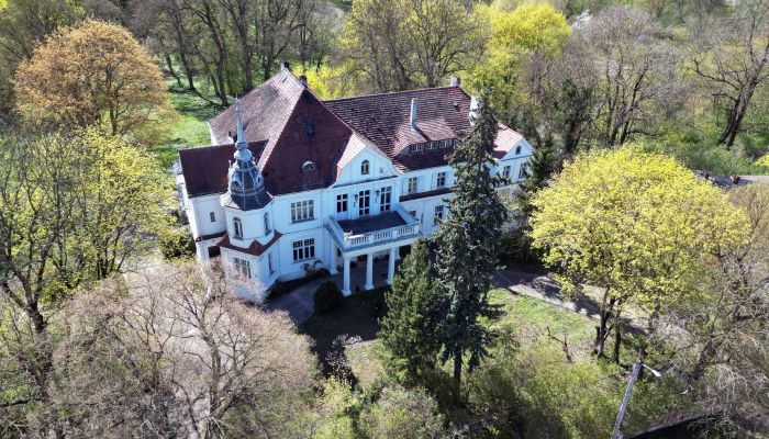 Castle for sale Uścikowo, Kuyavia-Pomerania