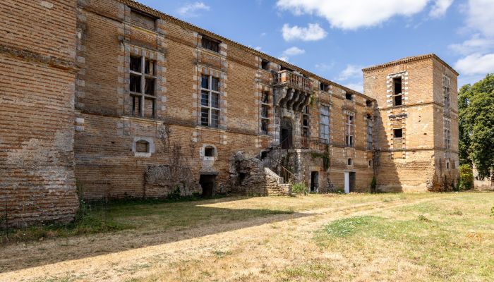 Castle for sale New Aquitaine