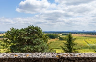 Castle for sale New Aquitaine, Image 19/22