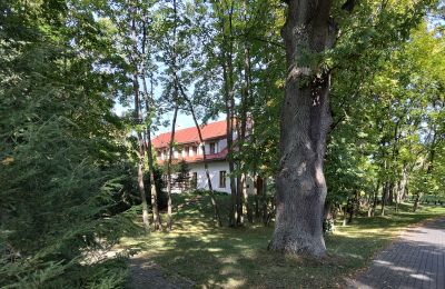 Manor house for sale Łódź Region, Image 22/24