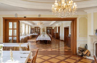 Manor house for sale Łódź Region, Large Hall