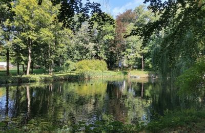 Manor house for sale Łódź Region, Lake