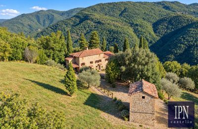 Country property for sale Santa Maria alla Rassinata, Tuscany, Image 3/42
