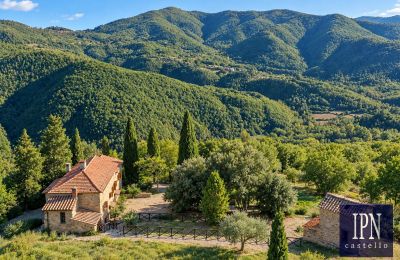 Country property for sale Santa Maria alla Rassinata, Tuscany, Image 10/42