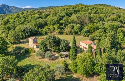 Country property for sale Santa Maria alla Rassinata, Tuscany, Image 7/42