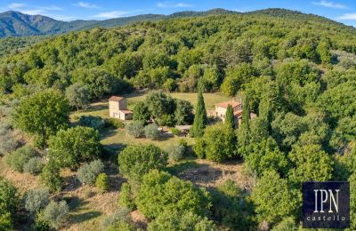 Country property for sale Santa Maria alla Rassinata, Tuscany, Image 8/42