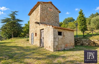 Country property for sale Santa Maria alla Rassinata, Tuscany, Image 19/42