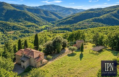 Country property for sale Santa Maria alla Rassinata, Tuscany, Image 2/42