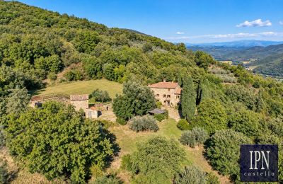 Country property for sale Santa Maria alla Rassinata, Tuscany, Image 6/42