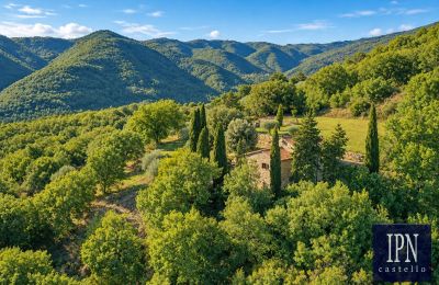 Country property for sale Santa Maria alla Rassinata, Tuscany, Image 9/42