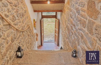 Country property for sale Santa Maria alla Rassinata, Tuscany, Image 37/42