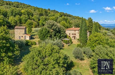 Country property for sale Santa Maria alla Rassinata, Tuscany, Image 4/42