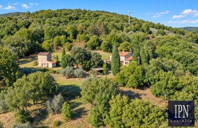 Country property for sale Santa Maria alla Rassinata, Tuscany, Image 11/42
