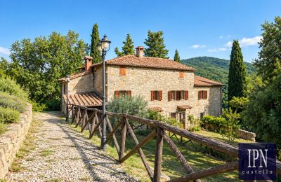 Country property for sale Santa Maria alla Rassinata, Tuscany, Image 17/42