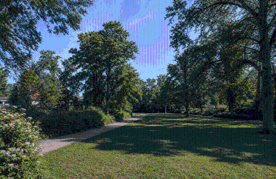 Period mansion for sale Berlin, , Blick in den Erlenbusch-Park