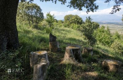 Historic property for sale San Agustín, Aragon, Image 16/27