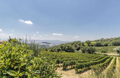 Country property for sale Montecatini Val di Cecina, Tuscany, Image 38/50