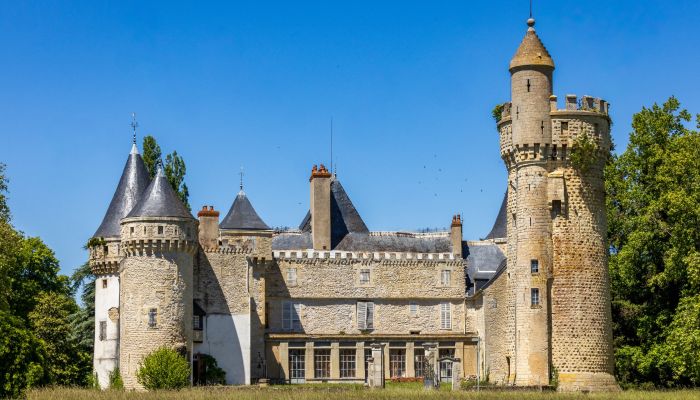 Medieval castle between Bourbonnais and Berry, 67 acres