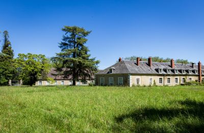 Castle for sale Bourges, Centre-Loire Valley, Image 13/16