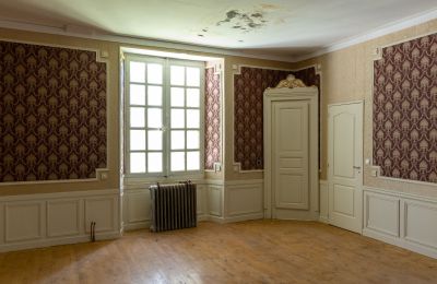 Castle for sale Bourges, Centre-Loire Valley, Image 10/16