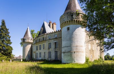 Castle for sale Bourges, Centre-Loire Valley, Image 3/16