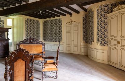 Castle for sale Bourges, Centre-Loire Valley, Image 6/16