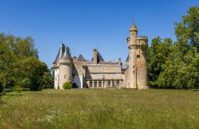 Castle for sale Bourges, Centre-Loire Valley, Image 2/16