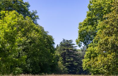 Castle for sale Bourges, Centre-Loire Valley, Image 14/16