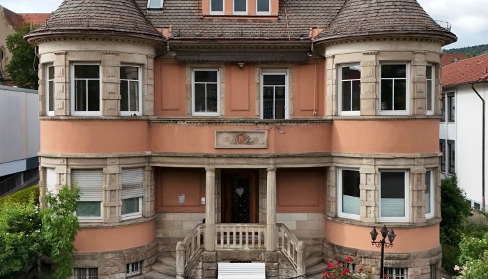  Ebingen 1