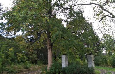 Castle for sale Kostrzyna, Lower Silesia, Image 12/16