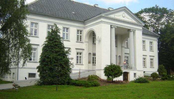 Castle Maciejowice 3