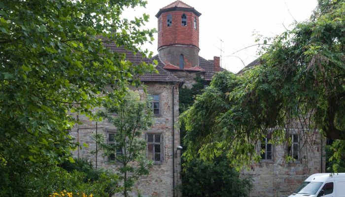 Old Castle in Saxony-Anhalt in Auction