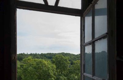 Old Castle in Saxony-Anhalt in Auction, Image 12