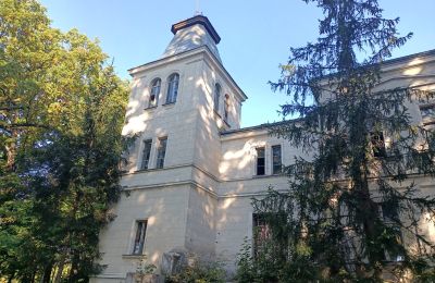 Manor House for sale Goniembice, Dwór w Goniembicach, Greater Poland, Image 2/8