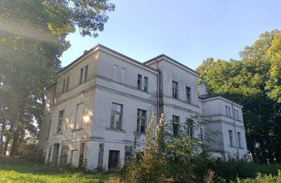 Manor House for sale Goniembice, Dwór w Goniembicach, Greater Poland, Image 5/8